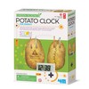 4M Green Science Potato Clock, Science and Activity Kit, Suitable