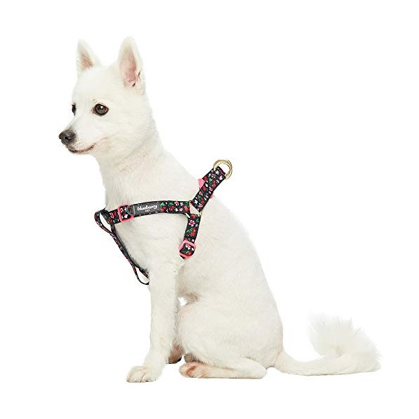 Blueberry Pet 9 Patterns Step-in Cherry Garden Black Dog Harness,
