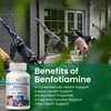 VHC Vitamin B1 Benfotiamine 600mg Supplement- 5X Time Fat-Soluble Thiamine