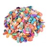 Dyed Multi-Color Shell Polished Chips Crushed Tumbled Stone Crystal Healing