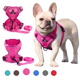 Zunea Dog Harness for Small Medium Dogs Puppies Cats Vest Harness Adjustable Reflective Breathable Mesh Lightweight Escape Proof Chest Harness No Pull for Walks Pink L