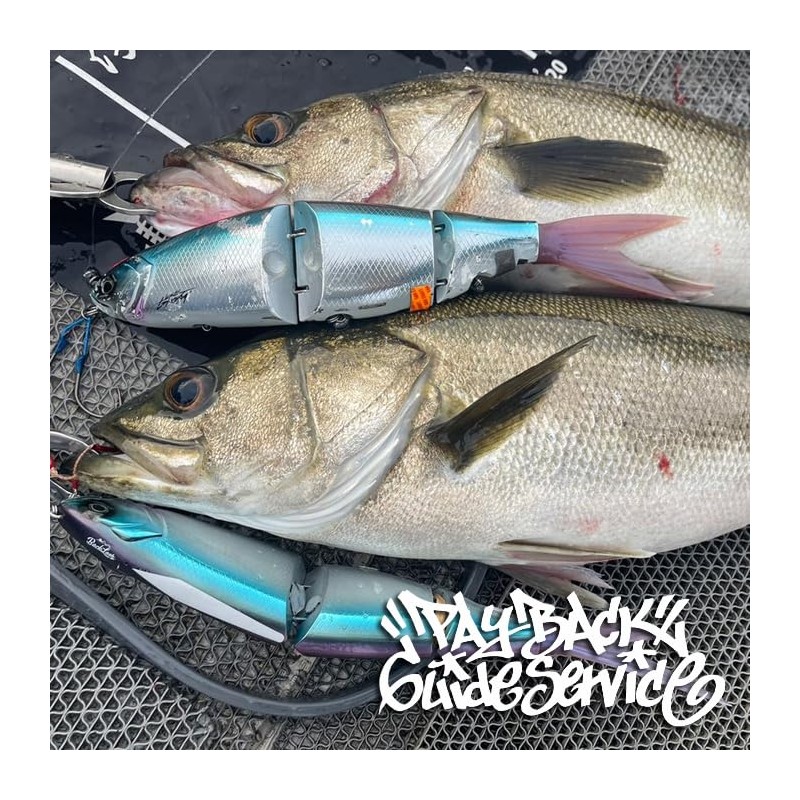 Ryugi Headshot 1/0 Big Bait Assist Hook 1/0 0.4 inches
