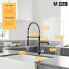 Fapully Kitchen Sink Faucet,Pull Down Kitchen Faucet,Black and Chrome Kitchen
