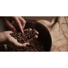 Caffe Mauro Special Concerto Roasted Espresso Coffee Beans from Italy