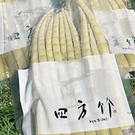 (Featured in THE TIME, ZIP!), Kochi Prefecture, Tosayama Bamboo Boiled in Water Vacuum Pack, 7.1 oz (200 g) / Bag | Square Bamboo Shoots, Bamboo Shoots, Bamboo Shoots, Takenoko Takenoco, Boiled in