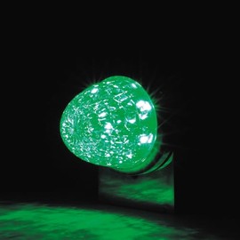 Jet Inoue 532613 LED Starlight Bus Marker Lamp, Zero DC12V, DC24V, Clear Lens, Side Light, LED Marker, Green