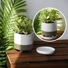 D'vine Dev Modern Round 6 Inch Ceramic Plant Pot Saucer,