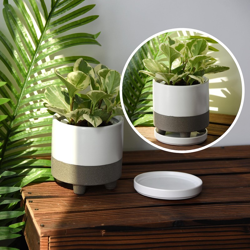 D'vine Dev Modern Round 6 Inch Ceramic Plant Pot Saucer,