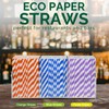 Chunspak Small Purple Paper Cocktail Straws, 5.75 inch, 500 counts,