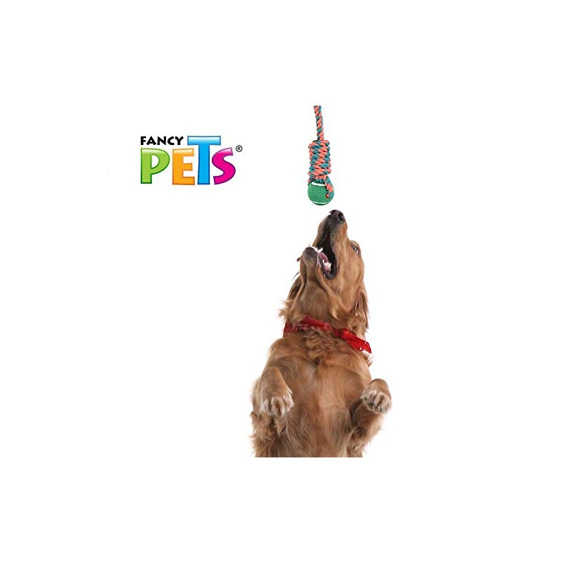 Fancy Pets Juguete de SOGA con Pelota para Perros Grandes,