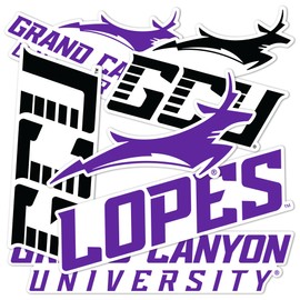 Desert Cactus Grand Canyon University Sticker Antelopes Vinyl Decals Laptop Water Bottle Car Scrapbook Sheet T2 (Type 2-3)