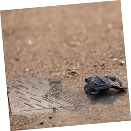 GRIRIW Turtle Platform Wear-Resistant Basking Ramp Transparent Dock for Reptiles Multi-Functional Aquatic Accessory for Turtles Frogs and Lizards for Climbing and Sunbathing