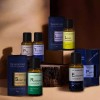 The Herb Story 더허브스토리 아로마 에센셜오일 30ml 8종 숙면 수면/마사지오일/피부보습/테라피/향기좋은