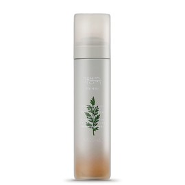 Missha Artemisia Soothing Essence Mist 120ml / 미샤 개똥쑥 진정 에센스 미스트 120ml