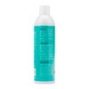 Fancy Pets Espuma P/BAÑO EN SECO Essentials 300 G