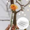 GQunit 40 x 7cm x 1.8cm Clear Water Tubes with