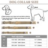 COOYOO Dog Collar,3 Piece Set Tactical Dog Collar, Adjustable Military