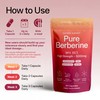 Sacred Summit Pure Berberine 500mg – 10:1 Extract (5000mg Equivalent)