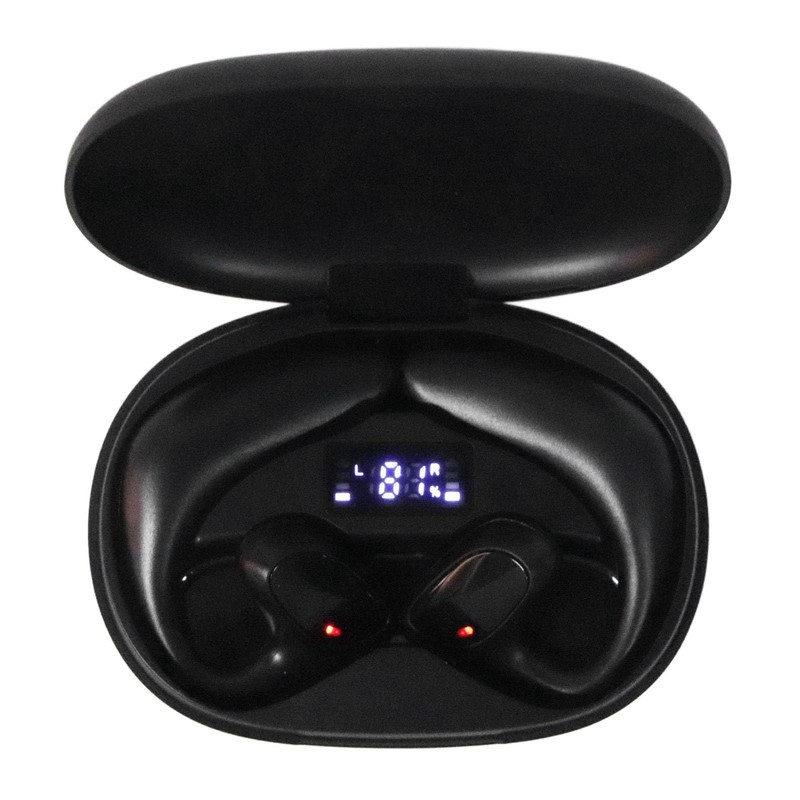 SOULONG Language Translator Earbuds Two Way Real Time Translation Device