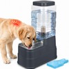 2.2 Gallon Pet Automatic Dog Water Dispenser Cat Gravity Waterer