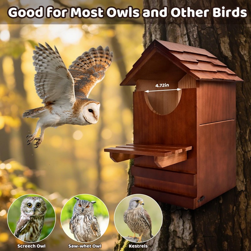 Large Owl House, 15'' x 10'' x 7'' Wooden Screech
