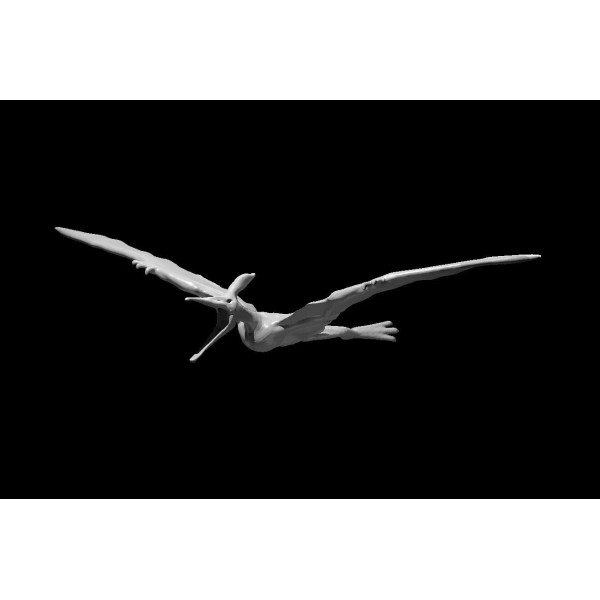 Pteranodon Mount Dinosaur Monster Manual 28mm Scale DND D&D Tabletop