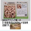 Persimmon Peanuts (Small Batapee Persimmon Pea), 8.8 oz (250 g),