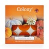 Colony Pumpkin Spice Tealights