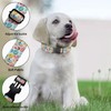 Sweet Donuts Cupcake Dog Collars Soft Adjustable Collar Strap for