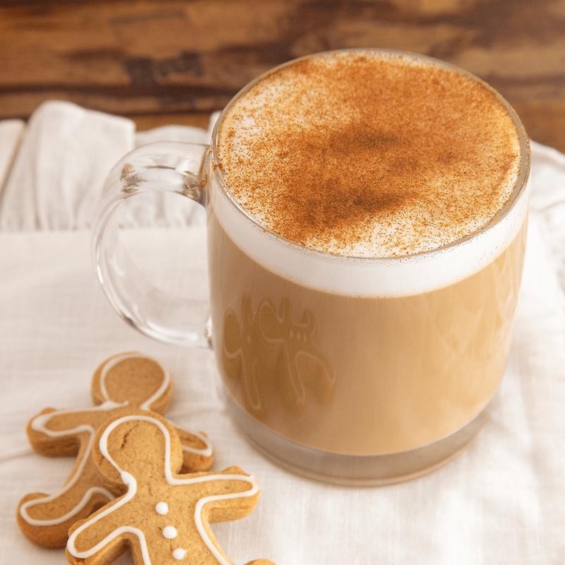 Gingerbread Flavor Protein Powder Sample Pack, Seasonal