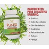 Suplemento Riñones Pur Natural Diente León Bienestar Intestinal Formula 100