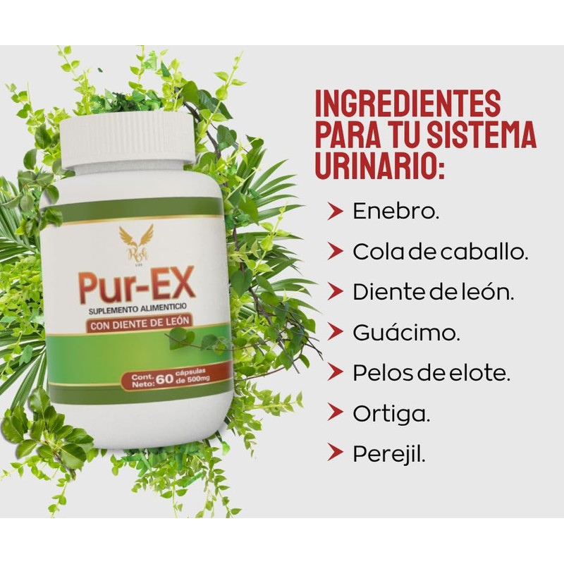 Suplemento Riñones Pur Natural Diente León Bienestar Intestinal Formula 100