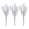 Northlight Set of 3 Pre-Lit Cherry Blossom Artificial Tree Branches