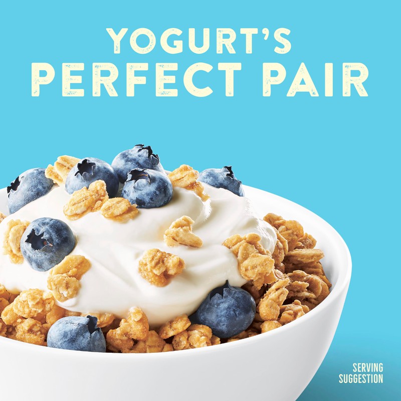 Nature Valley Protein Granola, French Vanilla Granola, Resealable Snack Pouch,