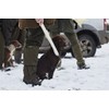 Seeland | Buckthorn Gaiters | Practical Hunting Hiking and Trekking