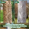 Singhoow Tree Whitewash Paint Tree Trunk Paint Kit, DIY Trees