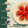 6 Inch 100 Count Round Paper Plates