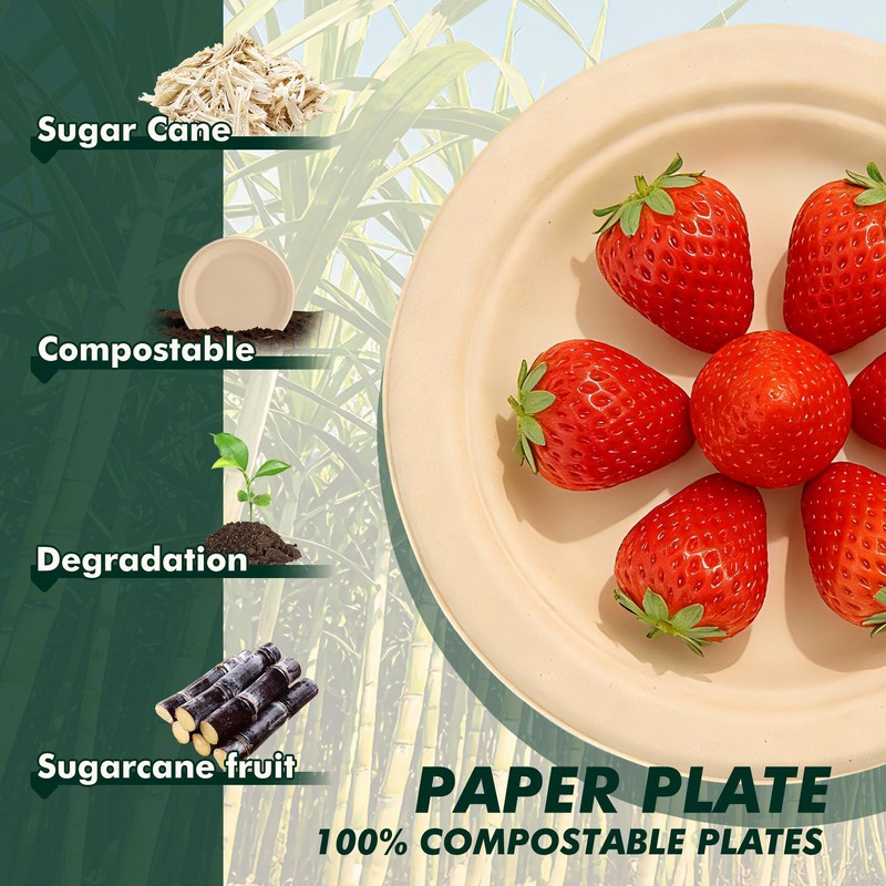 6 Inch 100 Count Round Paper Plates