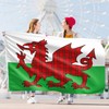 Welsh Flag Dragon Tartan - Wales Flag - Wales Dragon