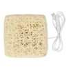 Rattan Table Lamp with LED Bulb USB Powered Decorative Hand