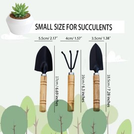 Benepoint 3Pcs Gardening Tools, Mini Tool Set Indoor Garden Kit Miniature Gardening Rake|Trowel |Shovel for Gardening Supplies (Thick Handle)