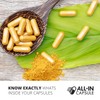 ALL-IN Capsule Filling Machine for Size 0 - Make Your