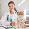 Avont Cat Recovery Suit - Kitten Onesie for Cats After