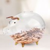 Transparent Glass Pig Coin Saver Bank Piggy Money Saving Box