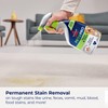 Bissell Pet Pro Stain and Odor Eliminator with Enzyme Action,