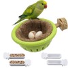 2-in-1 Bird Nest & Perch Set with 4 Hanging Food
