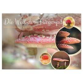 The World of Toadstools (Wall Calendar 2025 DIN A2 Landscape), CALVENDO Monthly Calendar