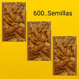 natural 3 .bolsitas de cobano.[zopilote] con.600 semillas.en total ,12,oz