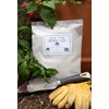 Live Oak Wood Ash - All Natural Clean Sifted Premium