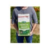 Patchmaster Lawn Repair Mix, Tall Fescue, 4.75-Lbs.